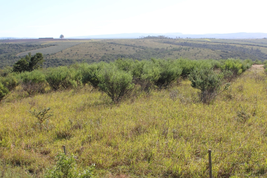 3 Bedroom Property for Sale in Bathurst Eastern Cape